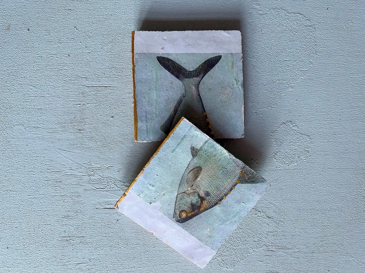 Fliesenbild-Set "Forelle Blau"