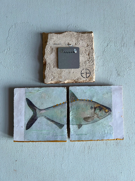 Fliesenbild-Set "Forelle Blau"