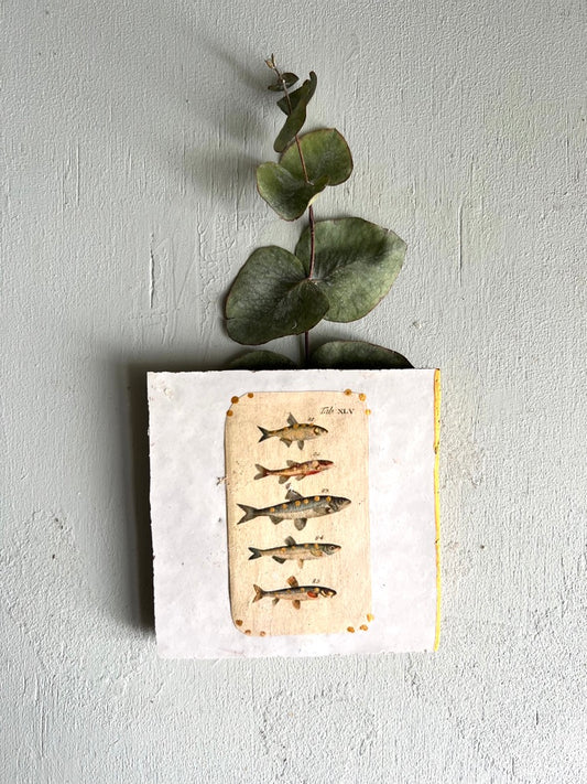 kleines Fliesenbild "Fischfamilie"