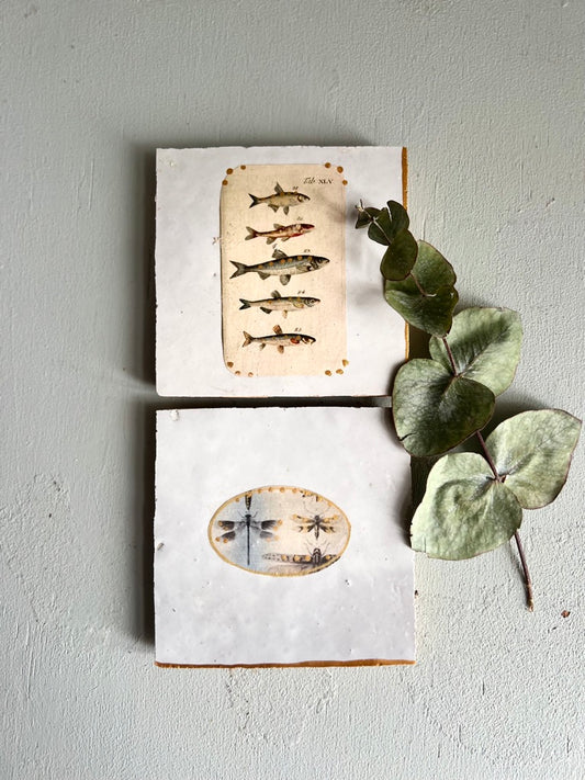 kleines Fliesenbild "Libellenschwarm"