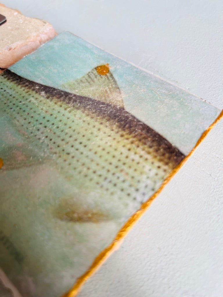 kleines Fliesenbild "Fischkörper"
