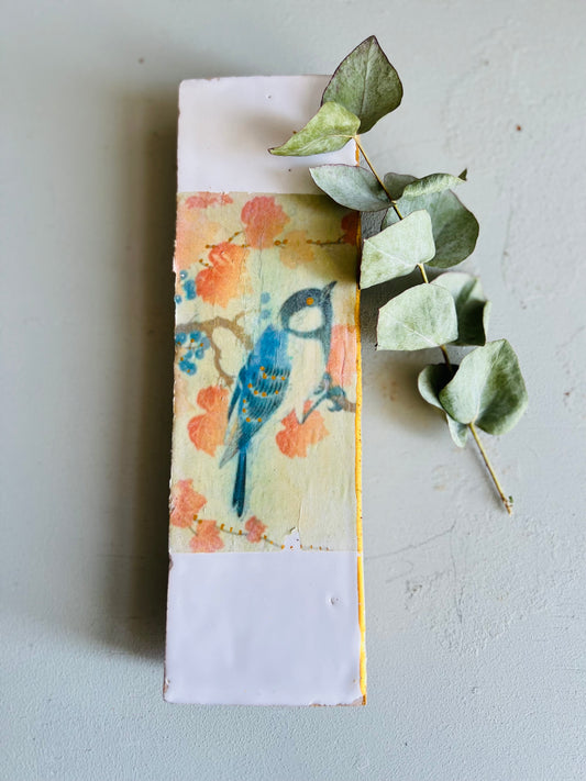 mittleres Fliesenbild "Blaumeise "