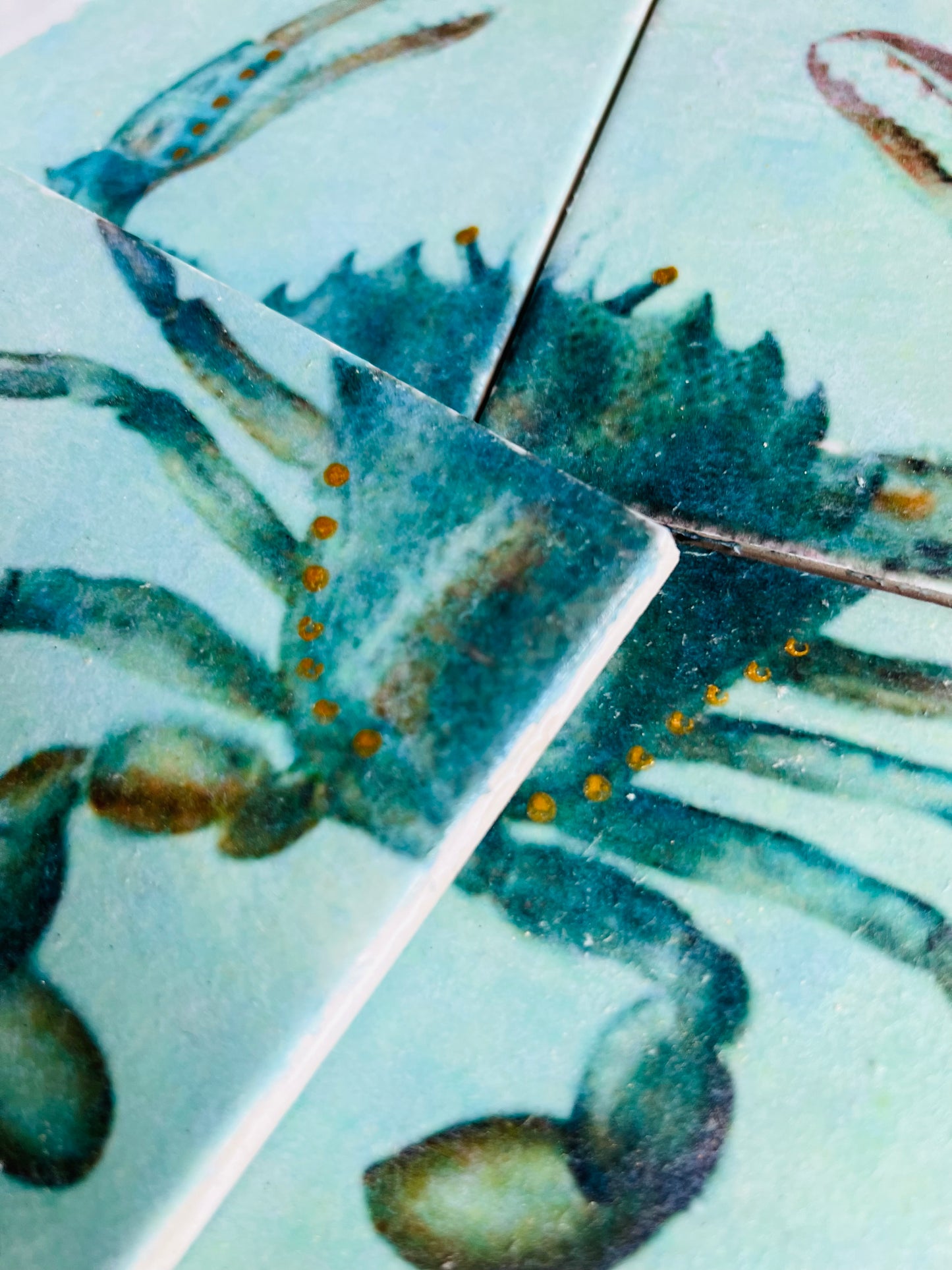 großes Fliesenbild " Lieblings Taschenkrebs "