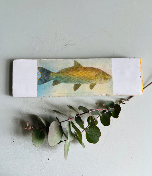 mittleres Fliesenbild " Lieblings Fisch "