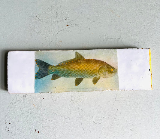 mittleres Fliesenbild " Lieblings Fisch "