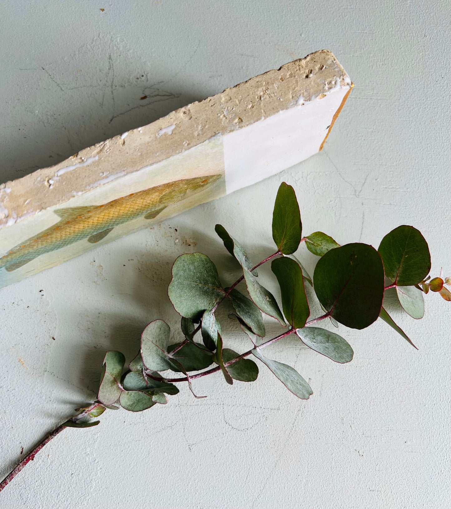 mittleres Fliesenbild " Lieblings Fisch "