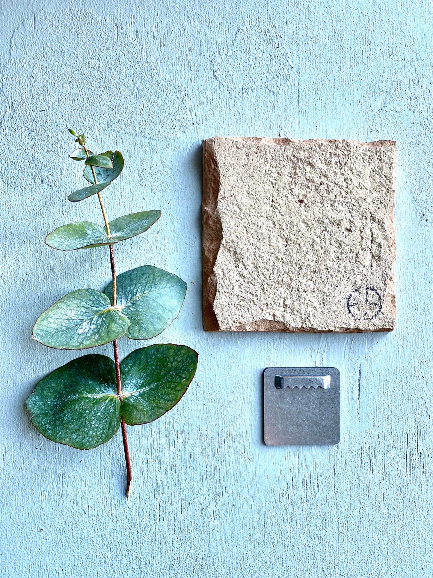 kleines Wandbild " beach girls "