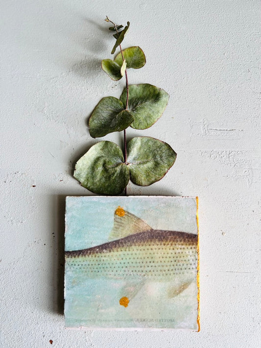 kleines Fliesenbild "Fischkörper"